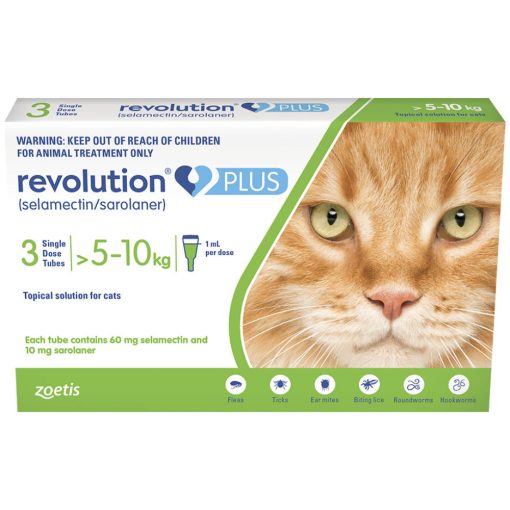 Revolution Plus Cats